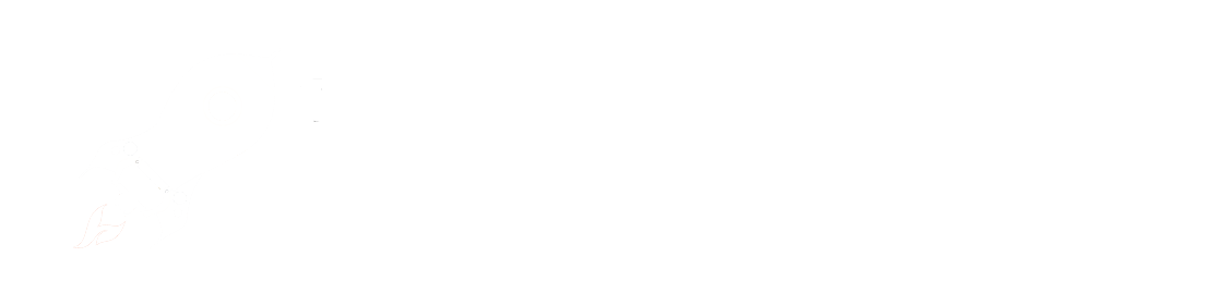 The Entrepreneur Profile Survey